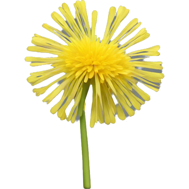a 3d yellow dandelion like the memoji emoji