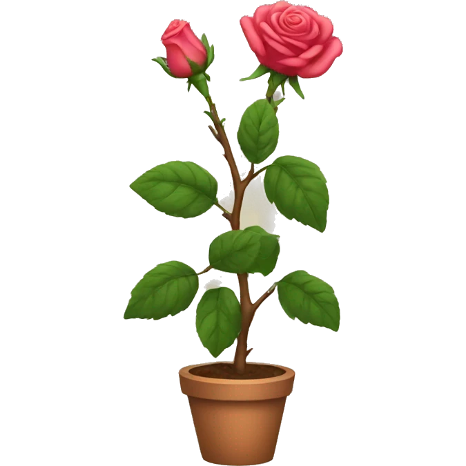 rose bush emoji