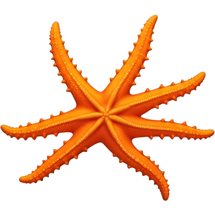 Orange sea star with five arms emoji