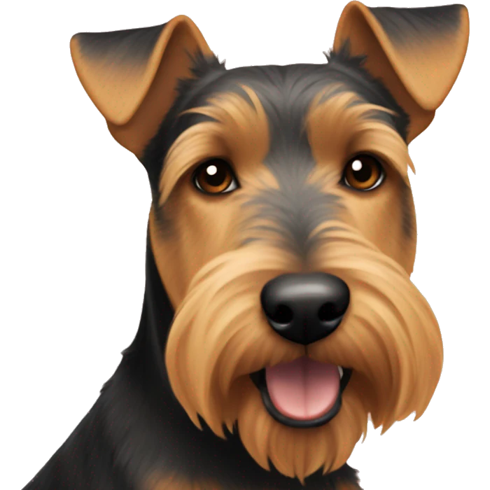 Welshterrier  emoji