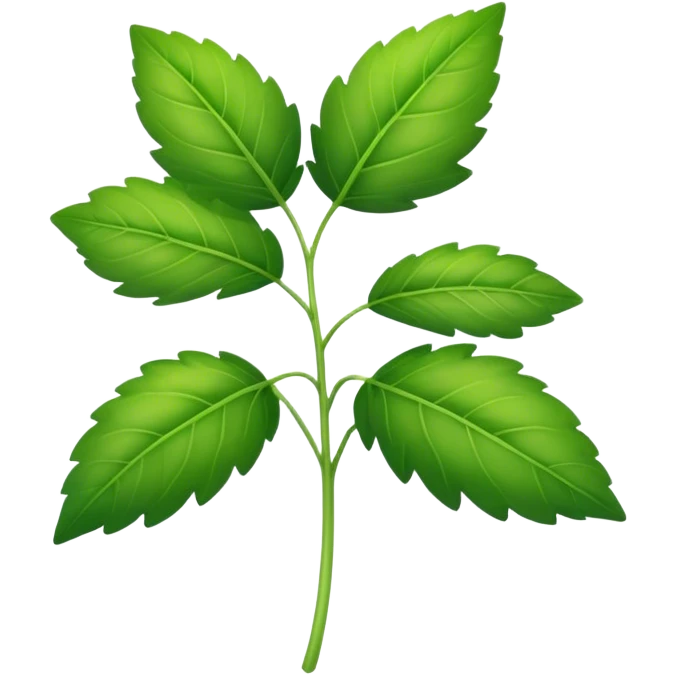 Elder herb emoji