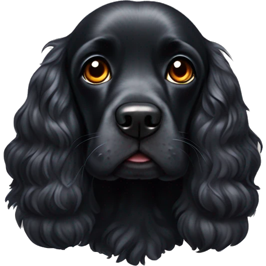 Black cocker spaniel dog with Heterochromia emoji