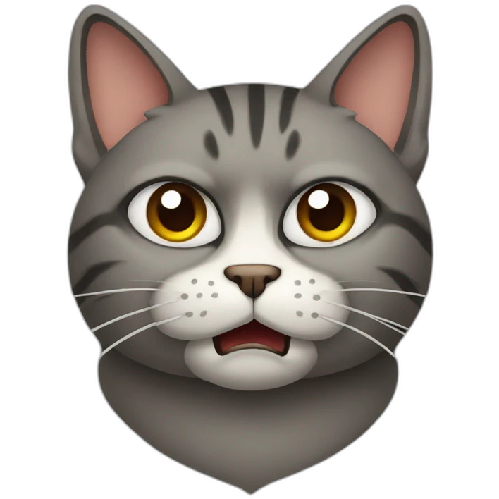 Cat and angry emoji