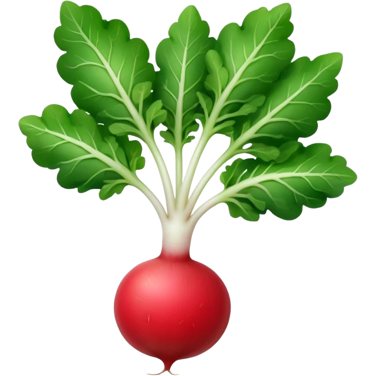 the actual radish compared to the leaves needs to be smaller, radish UK plant with a bit of white on the bottom of the radish emoji