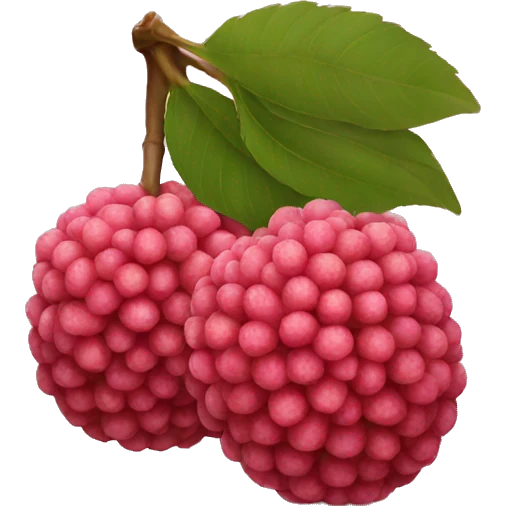 Lychee emoji