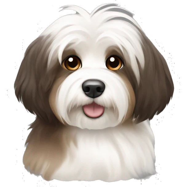 Dark Brown , light brown , and white havanese emoji