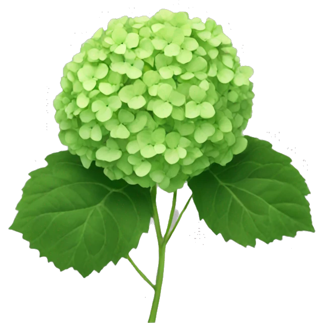Green hydrangea emoji