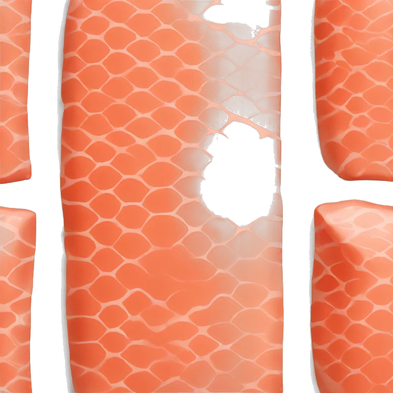 salmon Fillet emoji