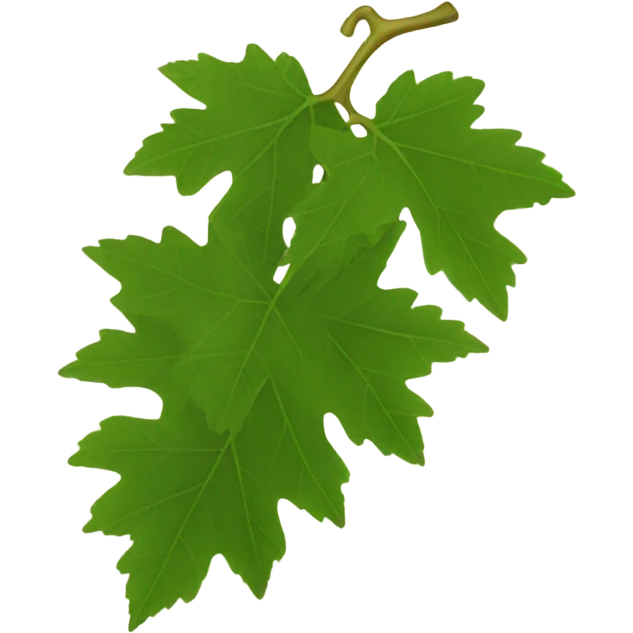 Grape leaves emoji