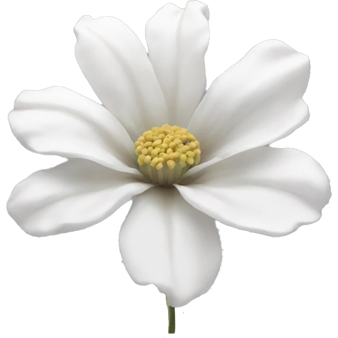 Aesthetic flower white emoji