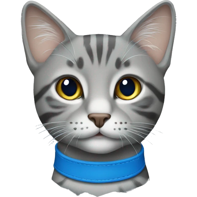 Grey tabby cat with blue collar emoji
