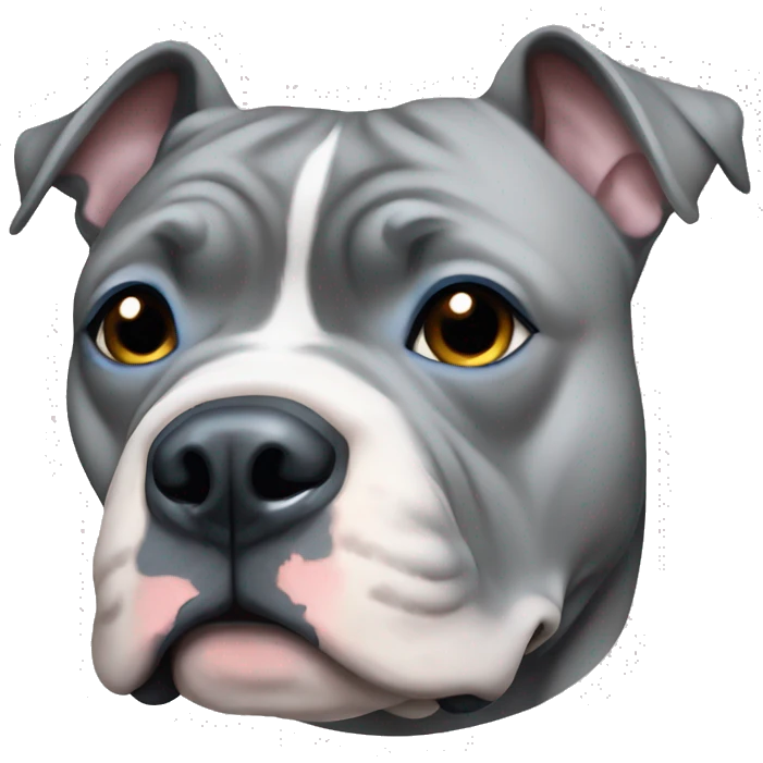 Grey American bully with blue eyes emoji