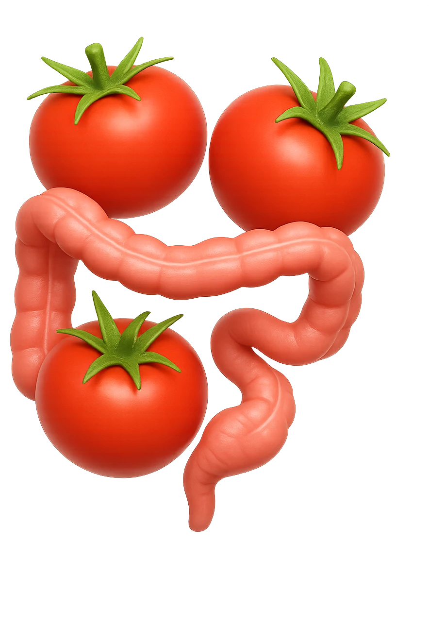 emoji stile iphone di pomodori che fluttuano in aria con colon attorcigliato intorno, iperrealistico 4k, isolato su sfondo bianco emoji