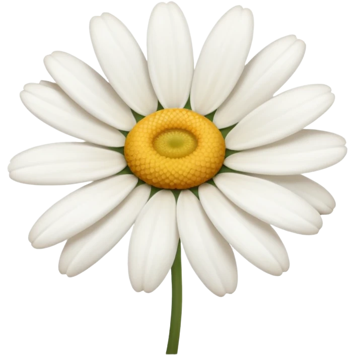 🌼🤍 emoji