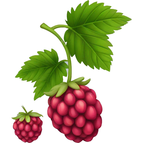 Raspberry emoji