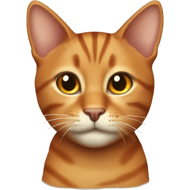 Brown and orange tabby cat emoji