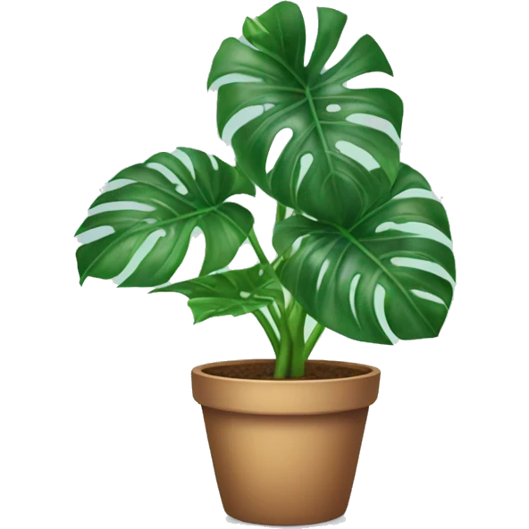 Potted monstera plant emoji