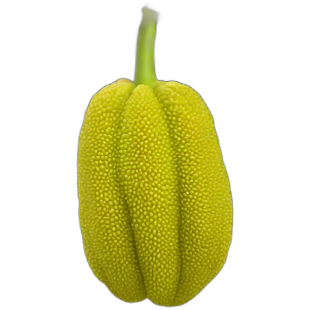 Jackfruit emoji