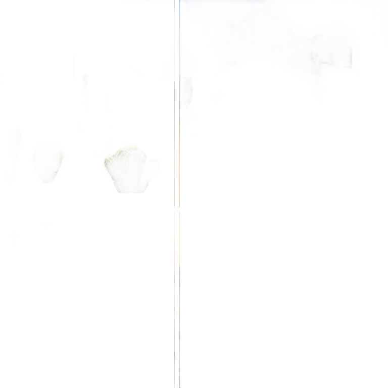 Arizona  emoji
