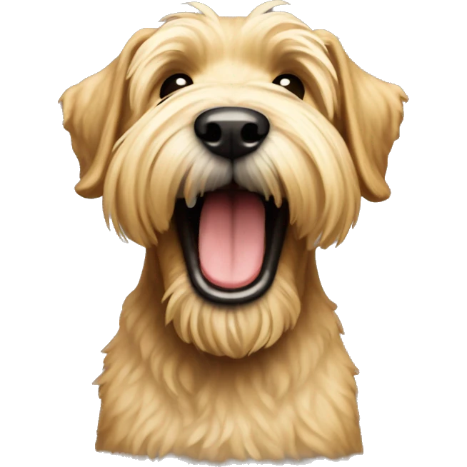 Wheaten terrier with big smile emoji