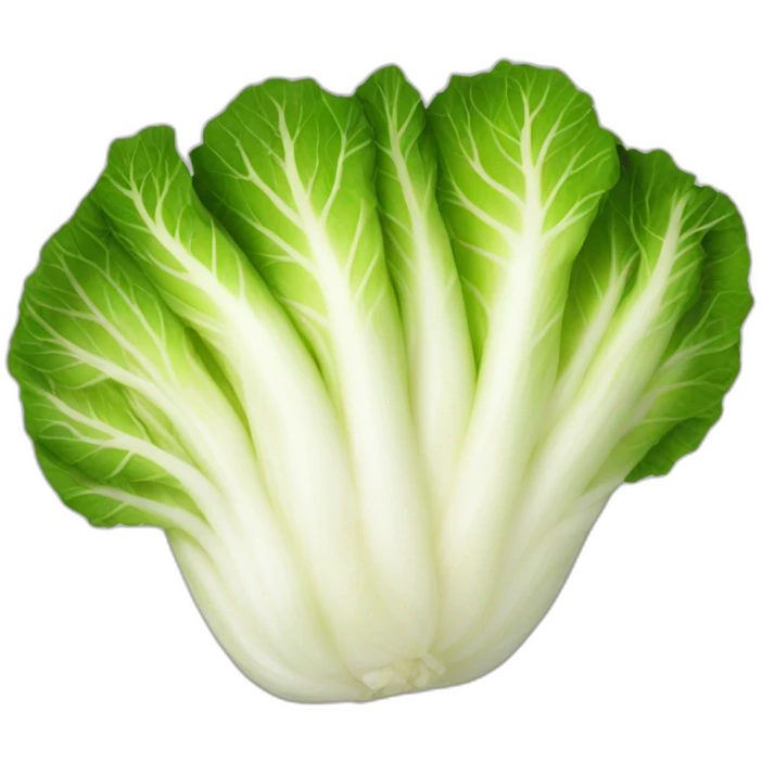 kimchi-korean-napa-cabbage emoji