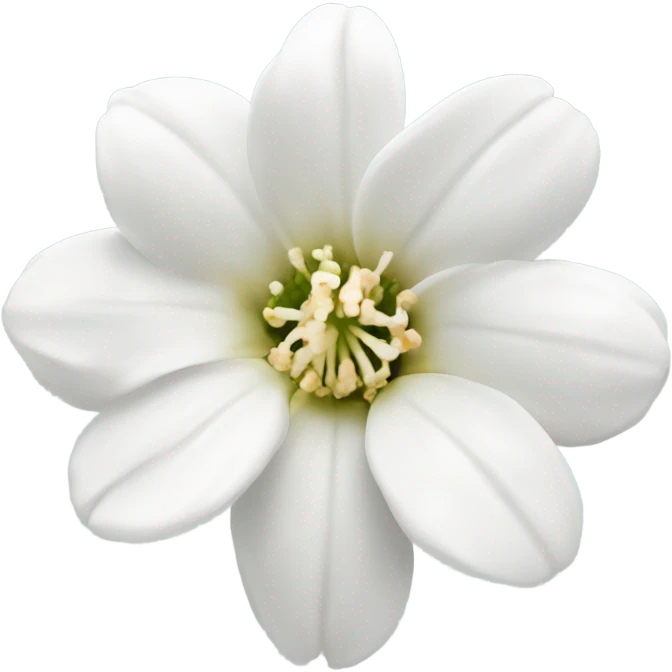 White Sping flower emoji