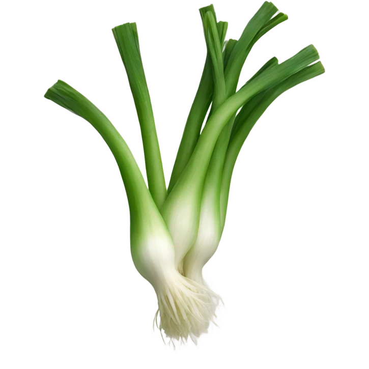 spring onion emoji