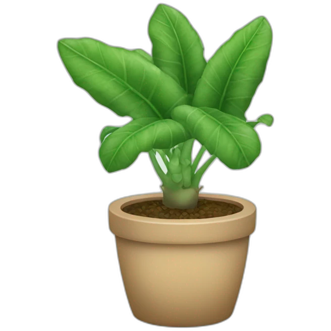 Scindapsus emoji