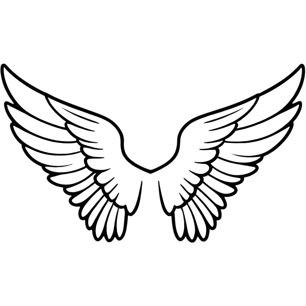 elegant white angel wing emoji