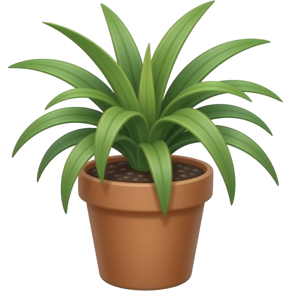 Callisia tradescantia plant on a pot emoji