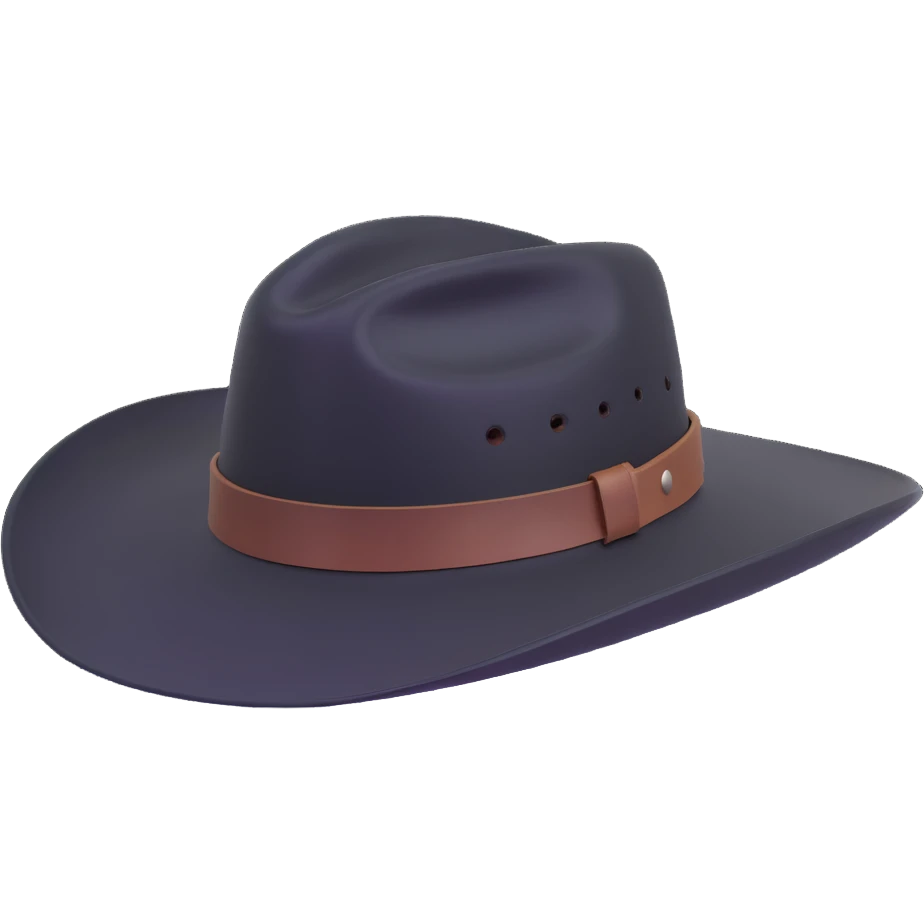 billy jack hat, side view, black felt, flat crown, wide brim, simple leather band, classic western style emoji