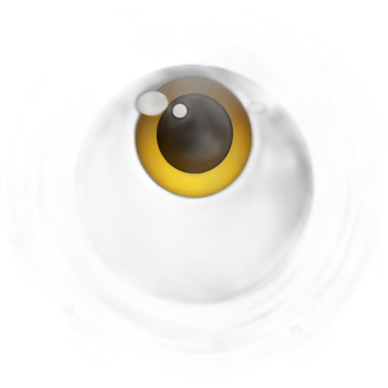 big lens emoji