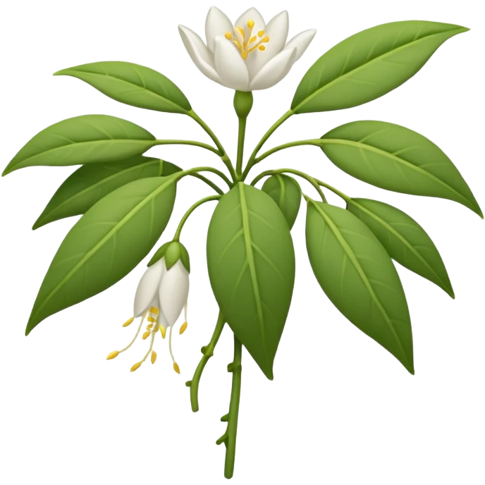 wilted jasmine emoji emoji