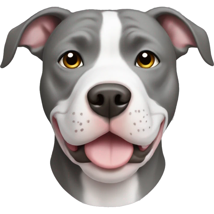 Grey pitbull with white chest emoji