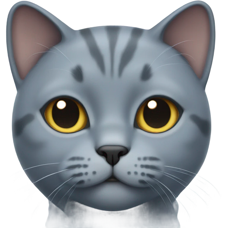 British blue cat emoji