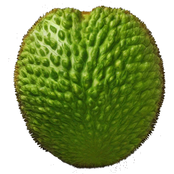 jamaican Breadfruit  emoji