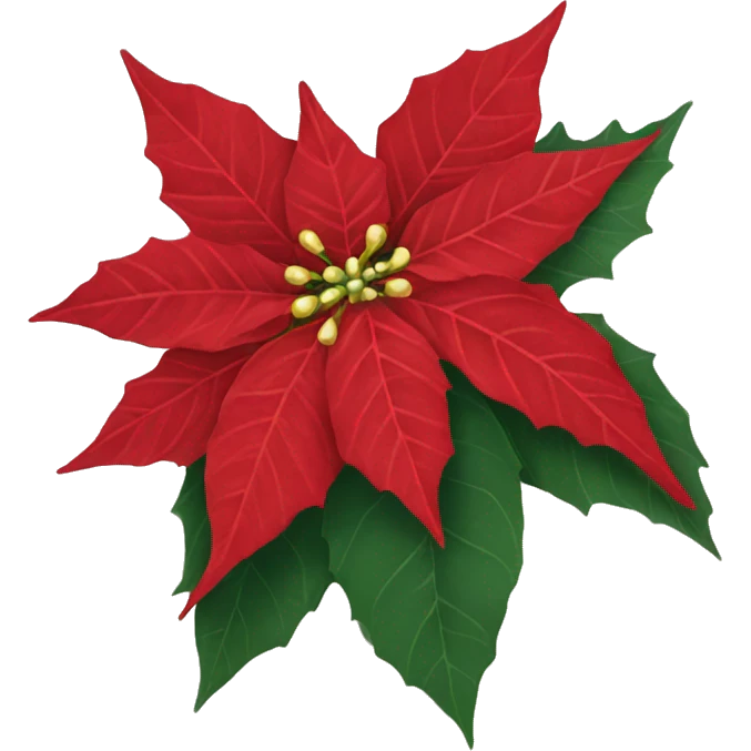 red Poinsettia emoji