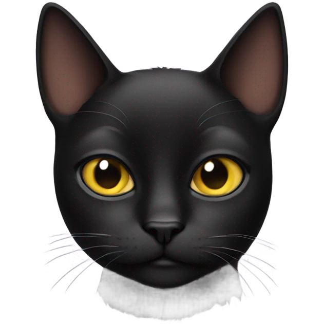 black cat doing a side eye  emoji