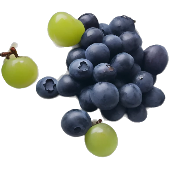 yoghurt bowl with grapes and blueberries emoji