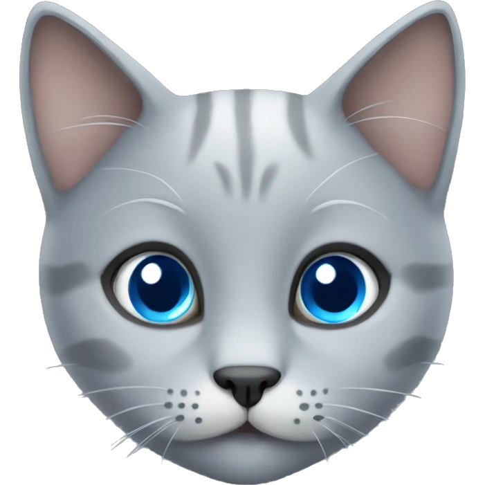 cute grey cat with blue eyes  emoji