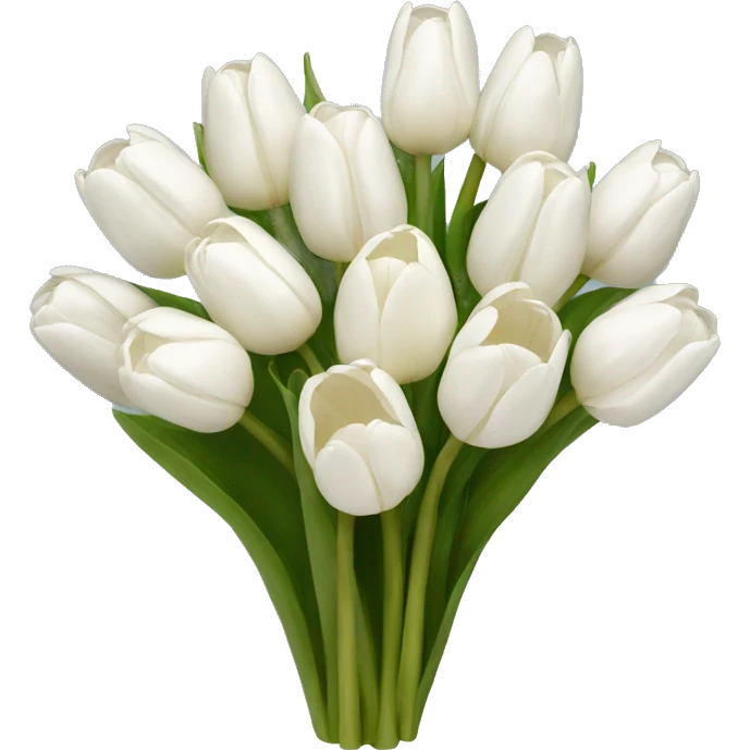 white tulip bouquet  emoji