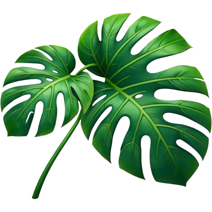realistic monstera leaf emoji