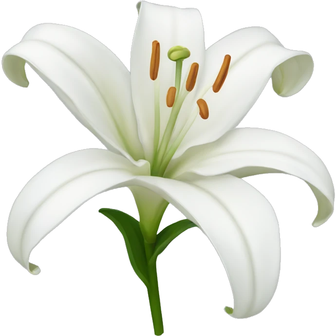 White lily  emoji