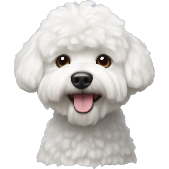 bichon frisée dog  emoji
