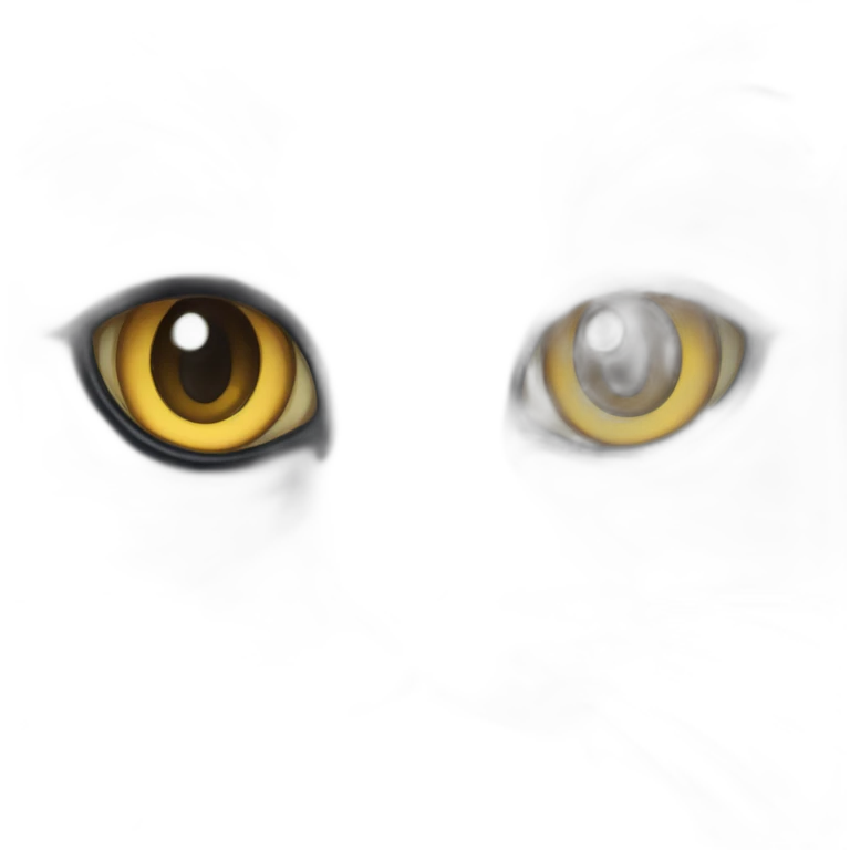 one eye Black cat emoji