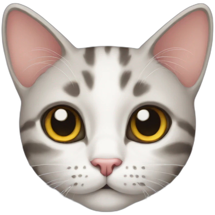 Cat  emoji