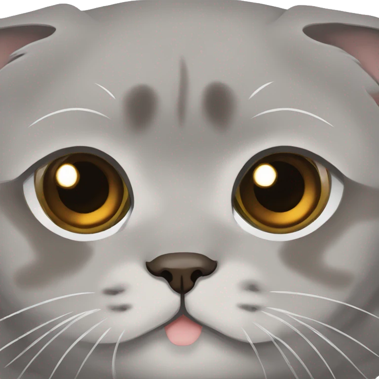 Grey Scottish fold with brown eyes  emoji