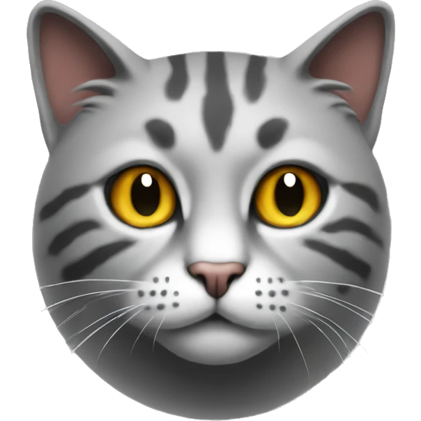 bitcoin cat emoji