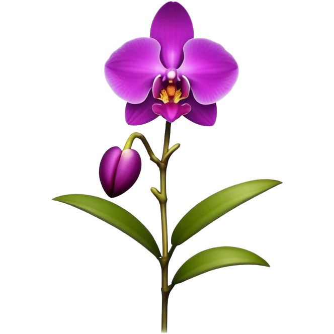 single purple Dendrobium Orchid flower, stem emoji