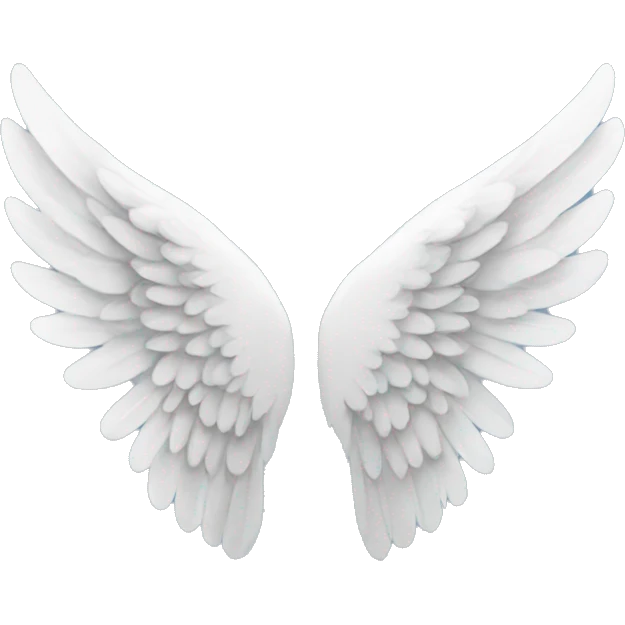 Angel wings  emoji